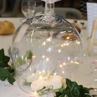 cloche avec orchidée